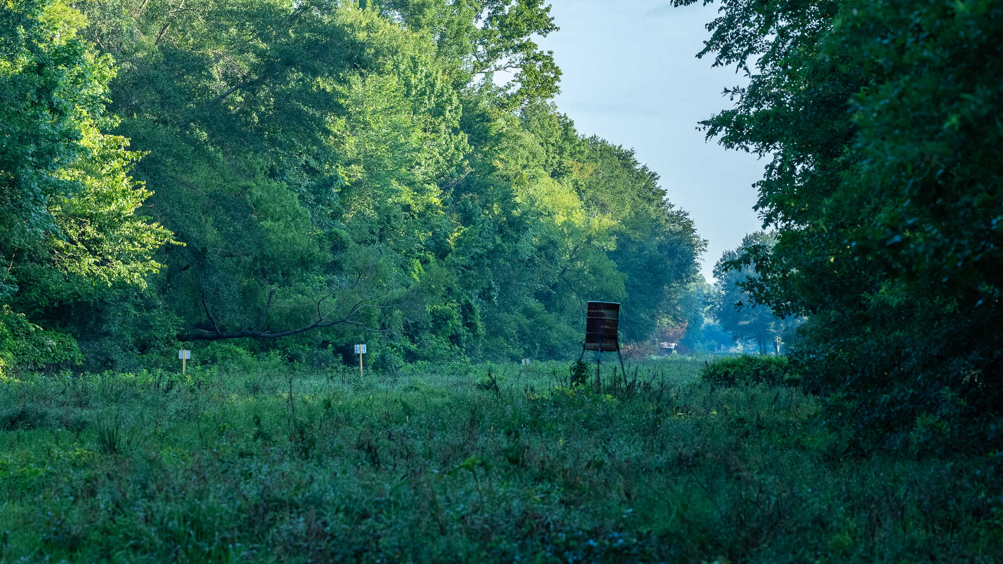 SOLD! Texas Duck Hunting Property with Log Home East of Dallas