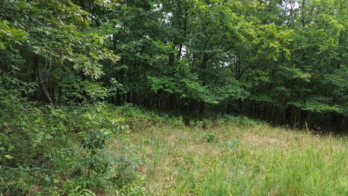Crooked Creek on 320 Ac Hunting Land For Sale in Newton County, Arkansas