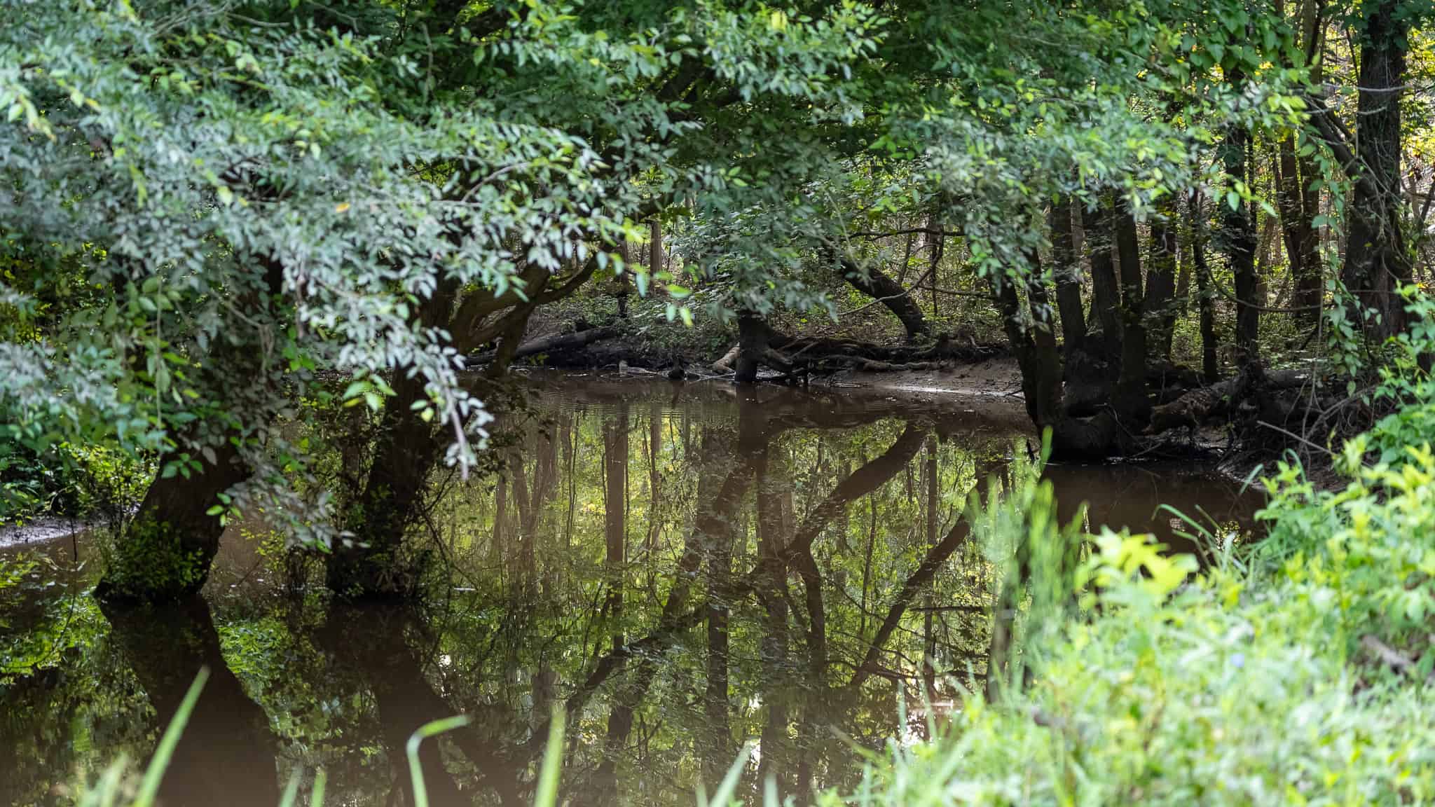 SOLD! Texas Duck Hunting Property with Log Home East of Dallas
