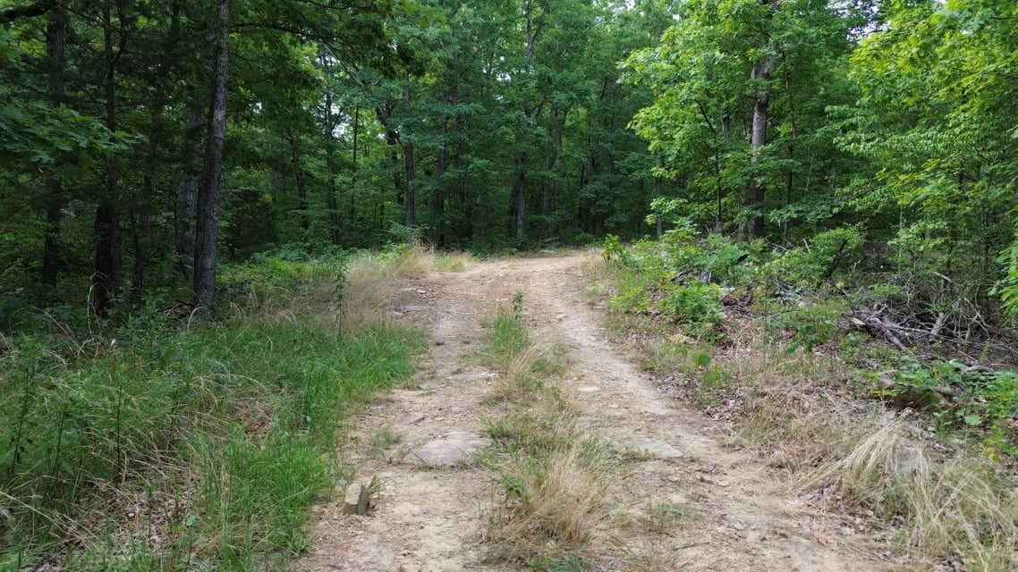 Crooked Creek on 320 Ac Hunting Land For Sale in Newton County, Arkansas