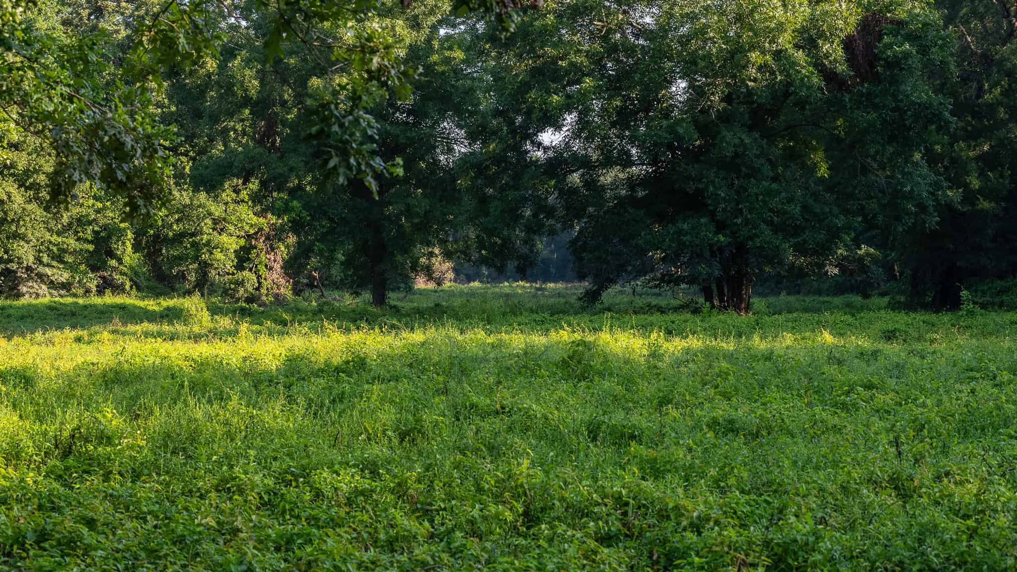 SOLD! Texas Duck Hunting Property with Log Home East of Dallas