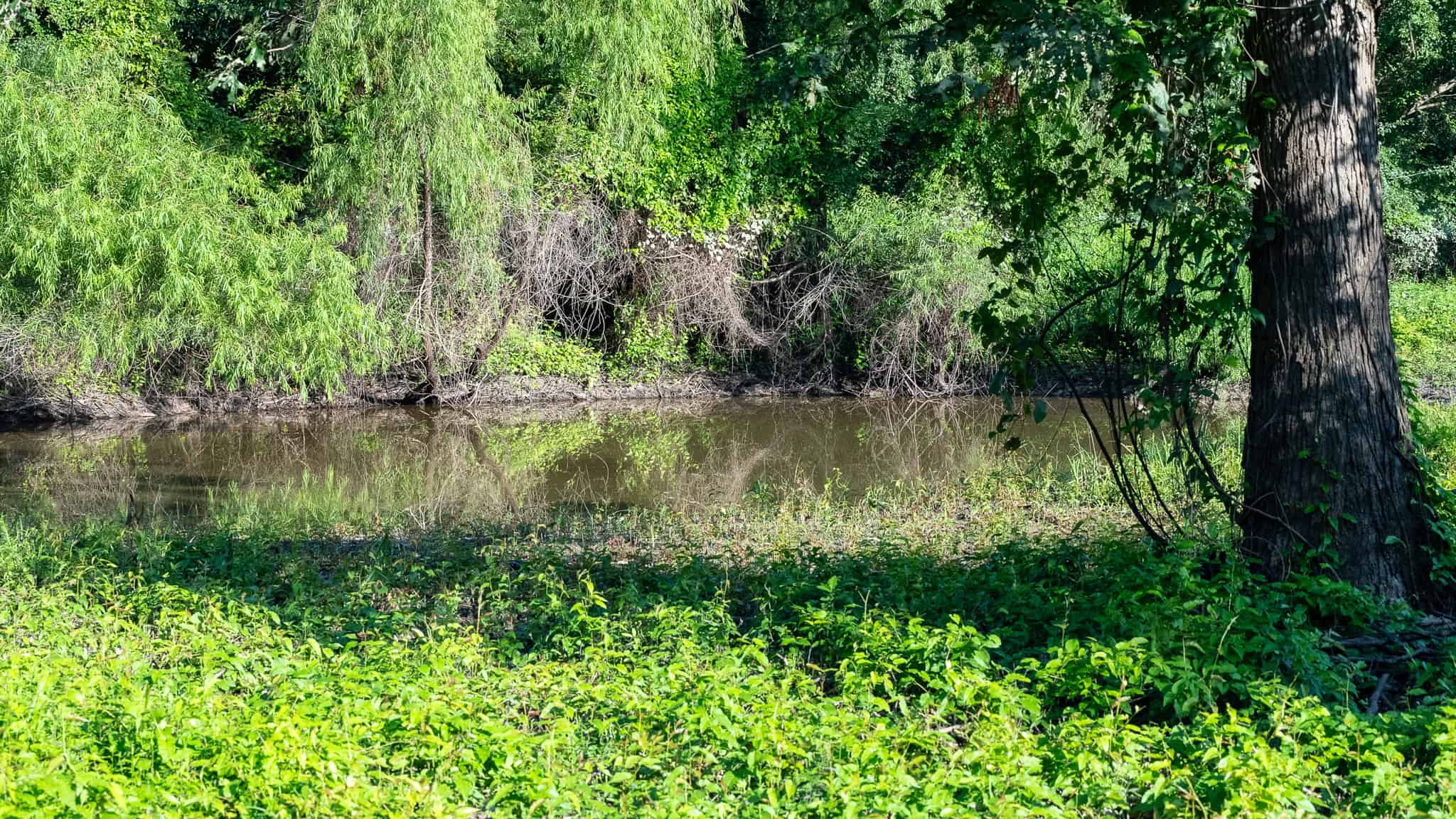 SOLD! Texas Duck Hunting Property with Log Home East of Dallas