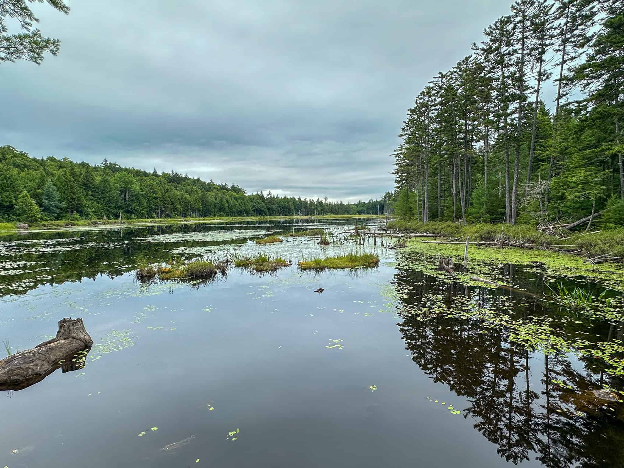 645 Acres, 6 Cabins, Pond, Brooks, and Outdoor Adventures