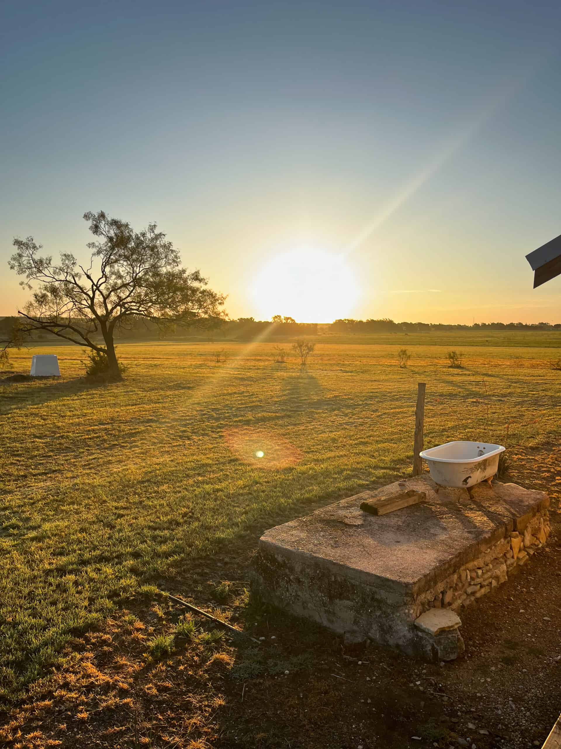 Exquisite 39+/- Acre Texas Estate in Coryell County