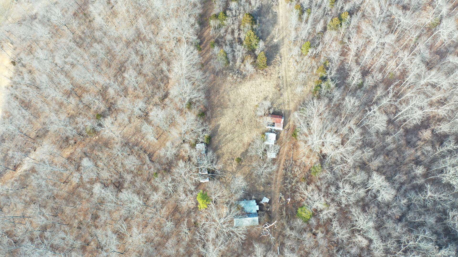 117.7 Acres Nestled on the Dent & Shannon County Line, Missouri