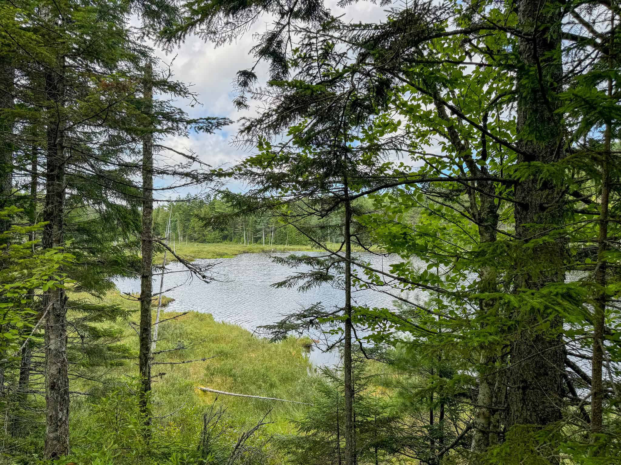 330 Acre Parcel with Waterfront