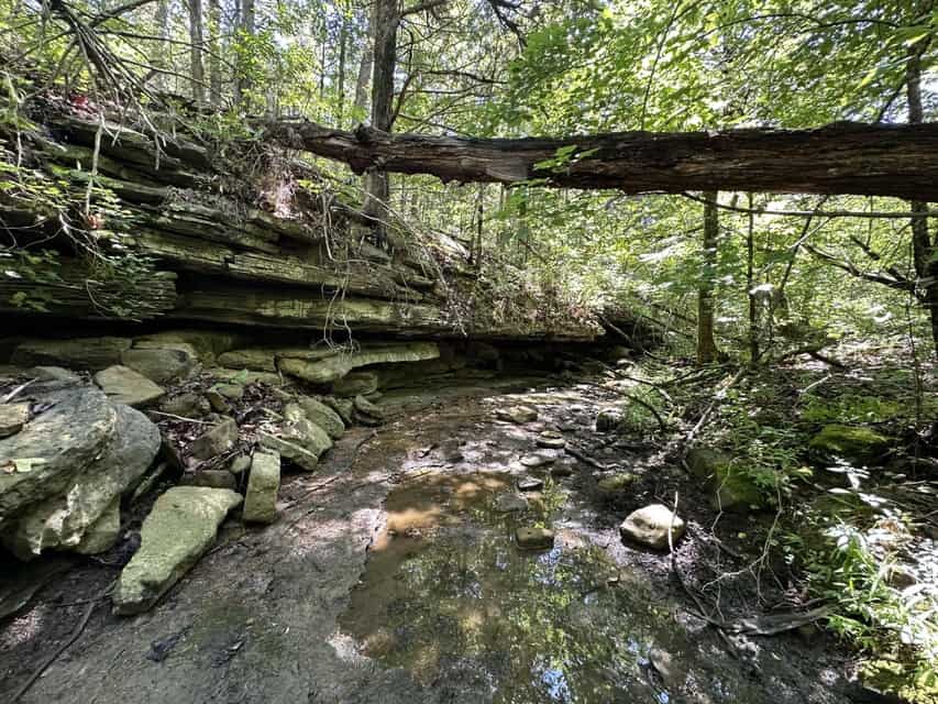 Crooked Creek on 320 Ac Hunting Land For Sale in Newton County, Arkansas