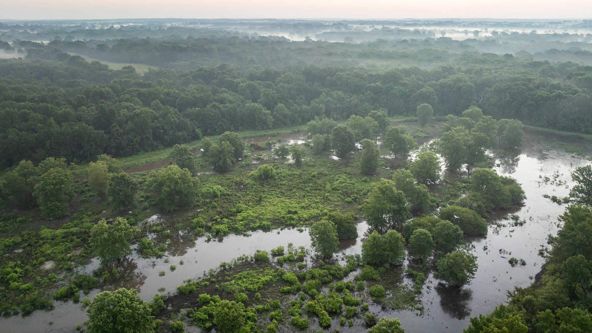 SOLD! Texas Duck Hunting Property with Log Home East of Dallas