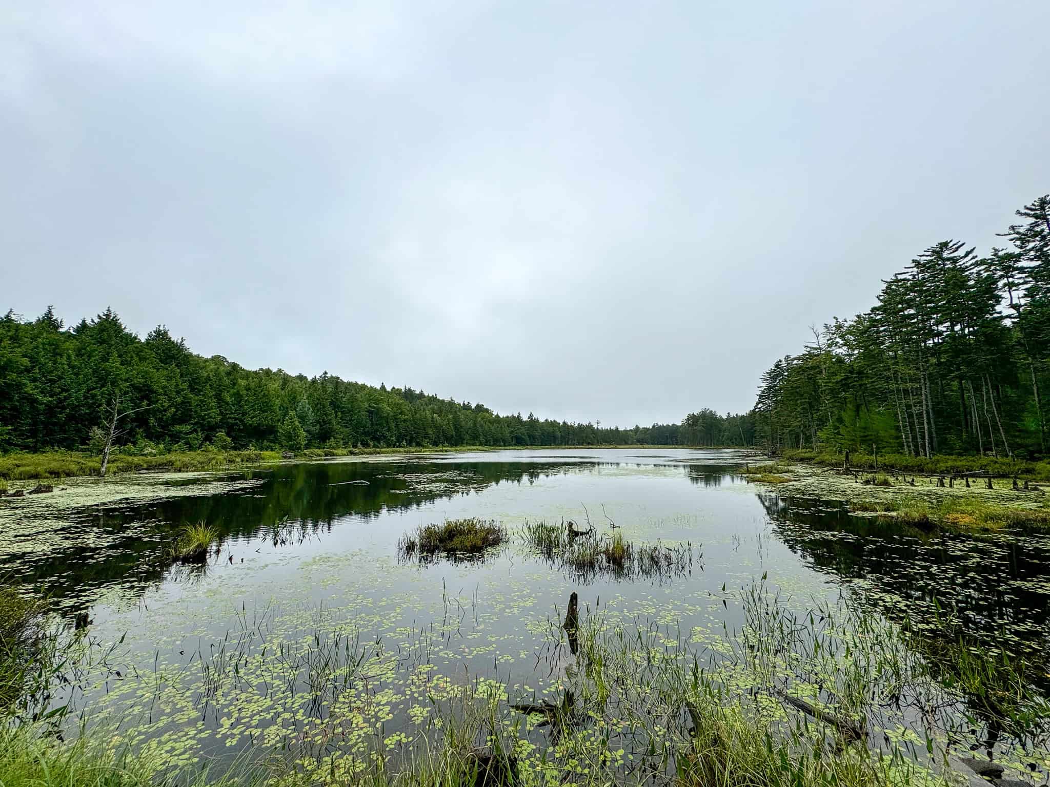 645 Acres, 6 Cabins, Pond, Brooks, and Outdoor Adventures