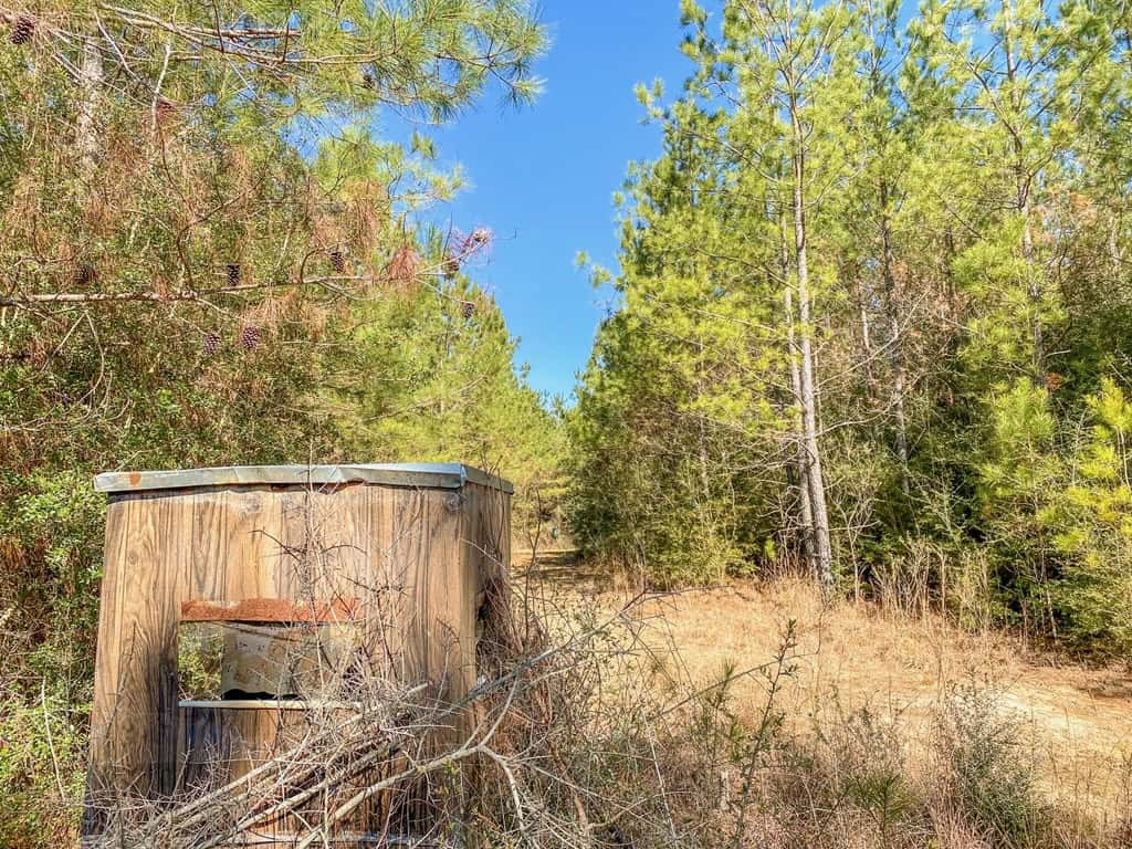 625 Acres Amite County, MS Timberland for Sale