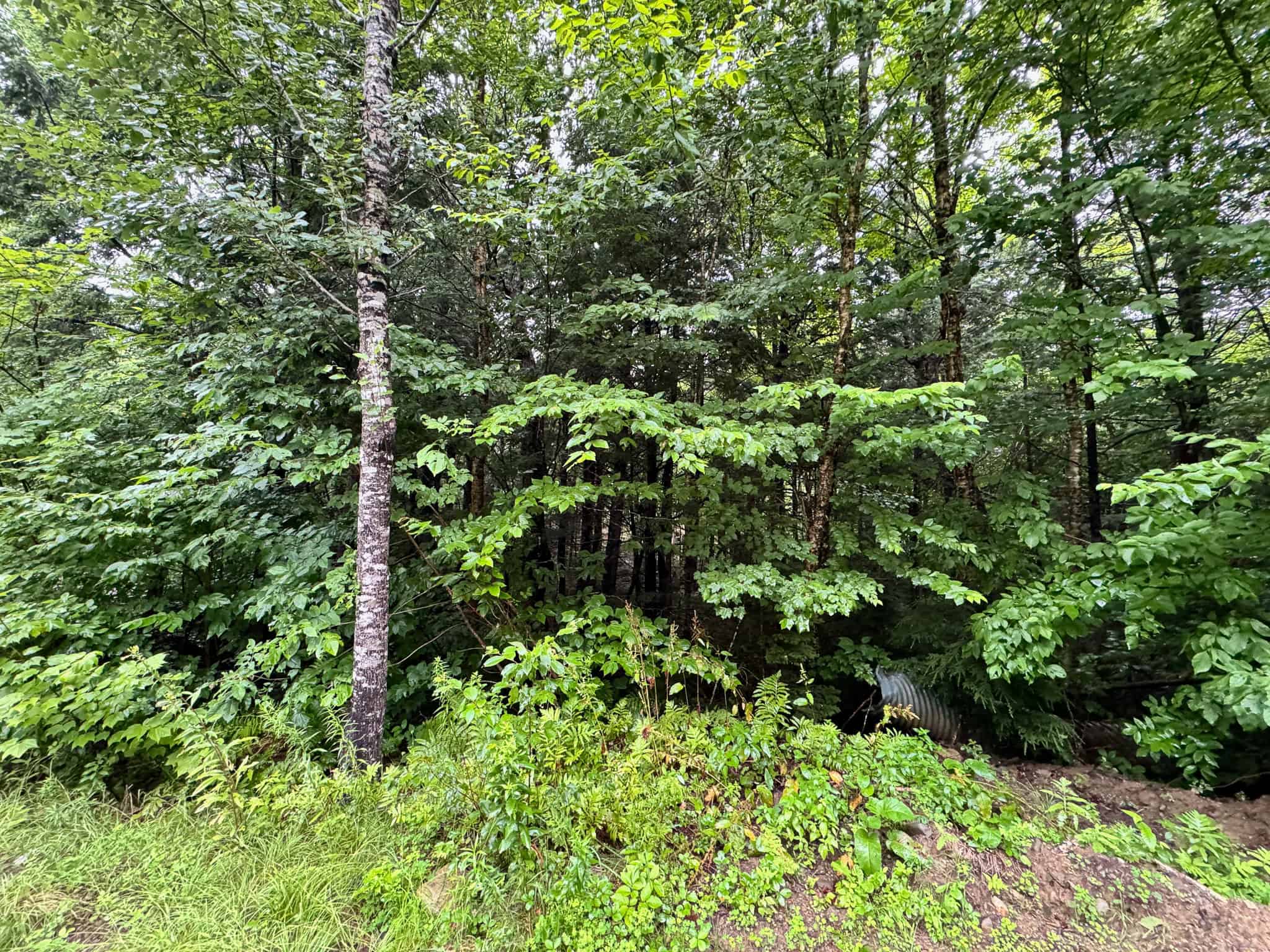 645 Acres, 6 Cabins, Pond, Brooks, and Outdoor Adventures