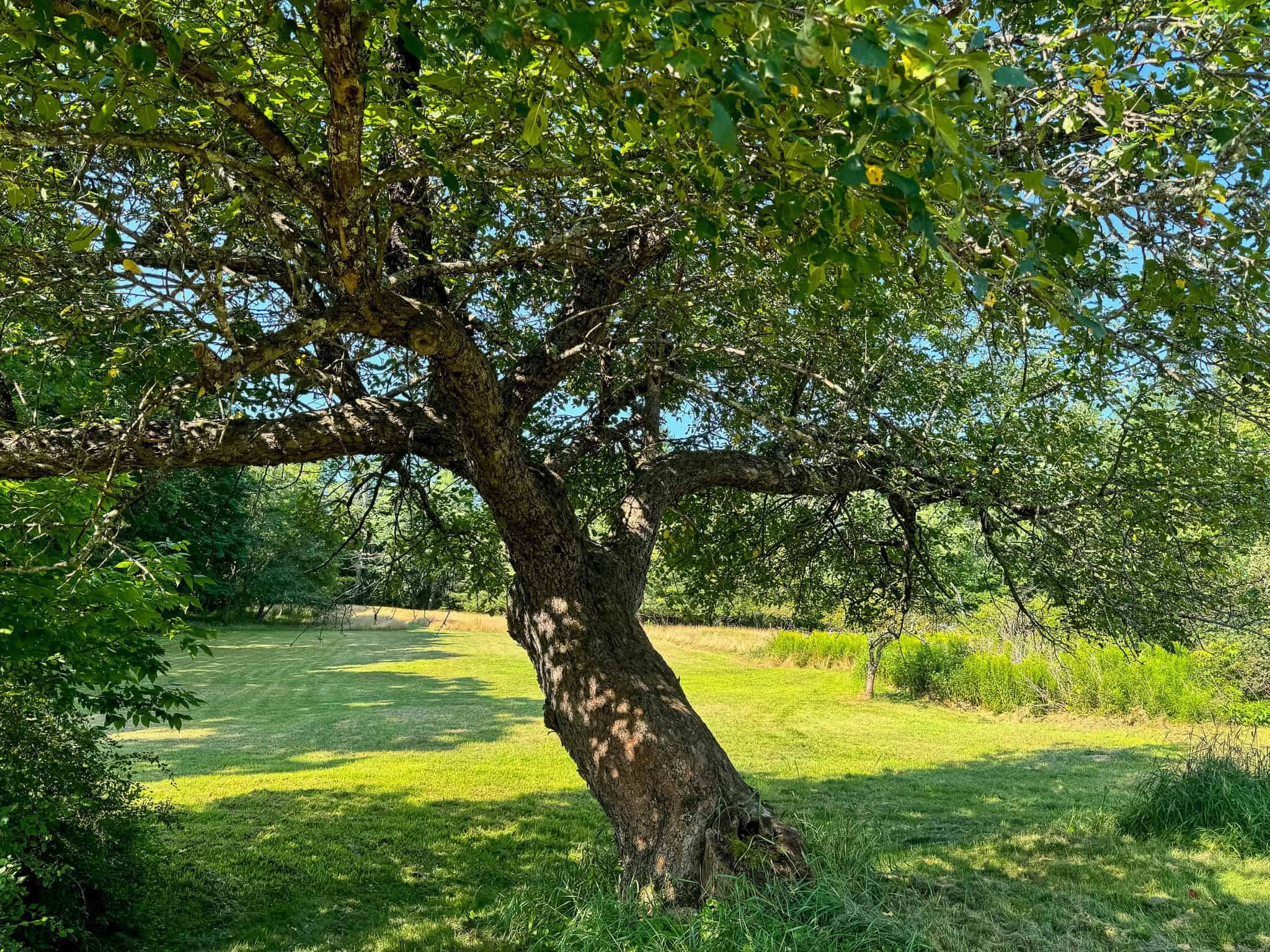 New Englander Home in the Country