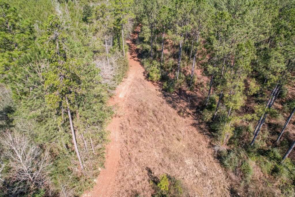 625 Acres Amite County, MS Timberland for Sale