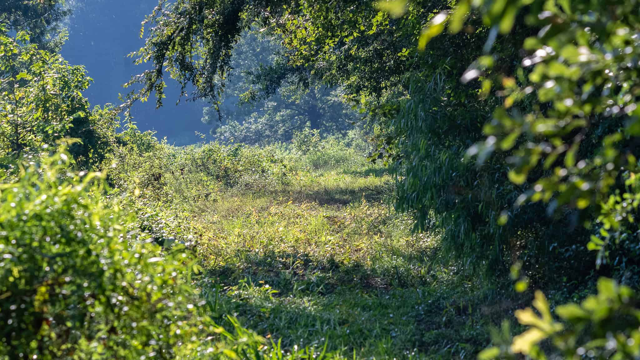 SOLD! Texas Duck Hunting Property with Log Home East of Dallas
