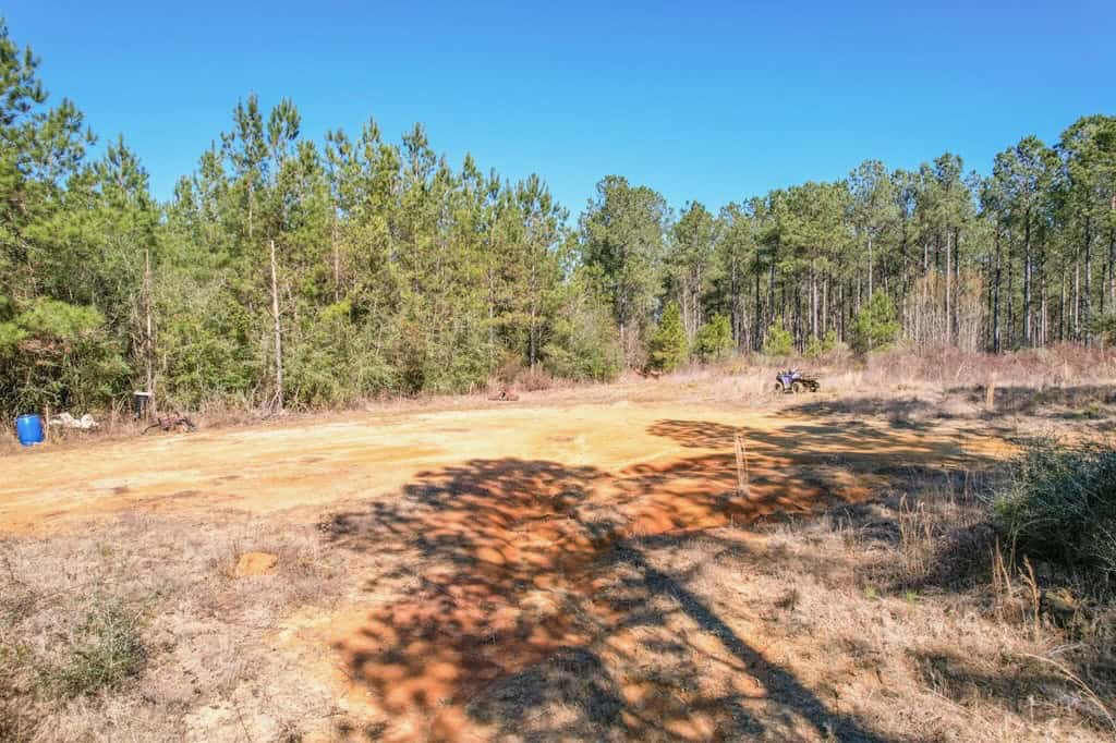 625 Acres Amite County, MS Timberland for Sale