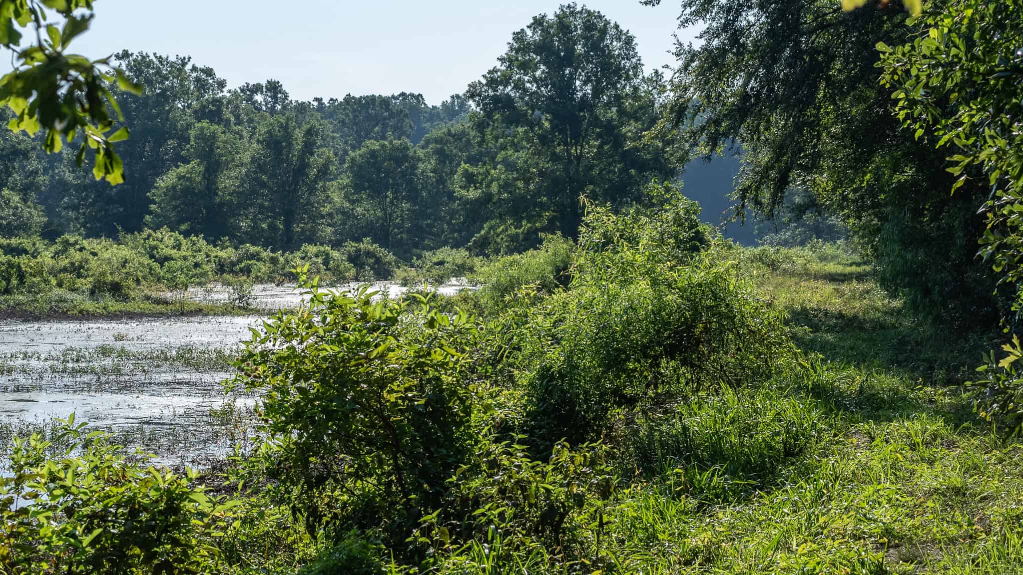 SOLD! Texas Duck Hunting Property with Log Home East of Dallas
