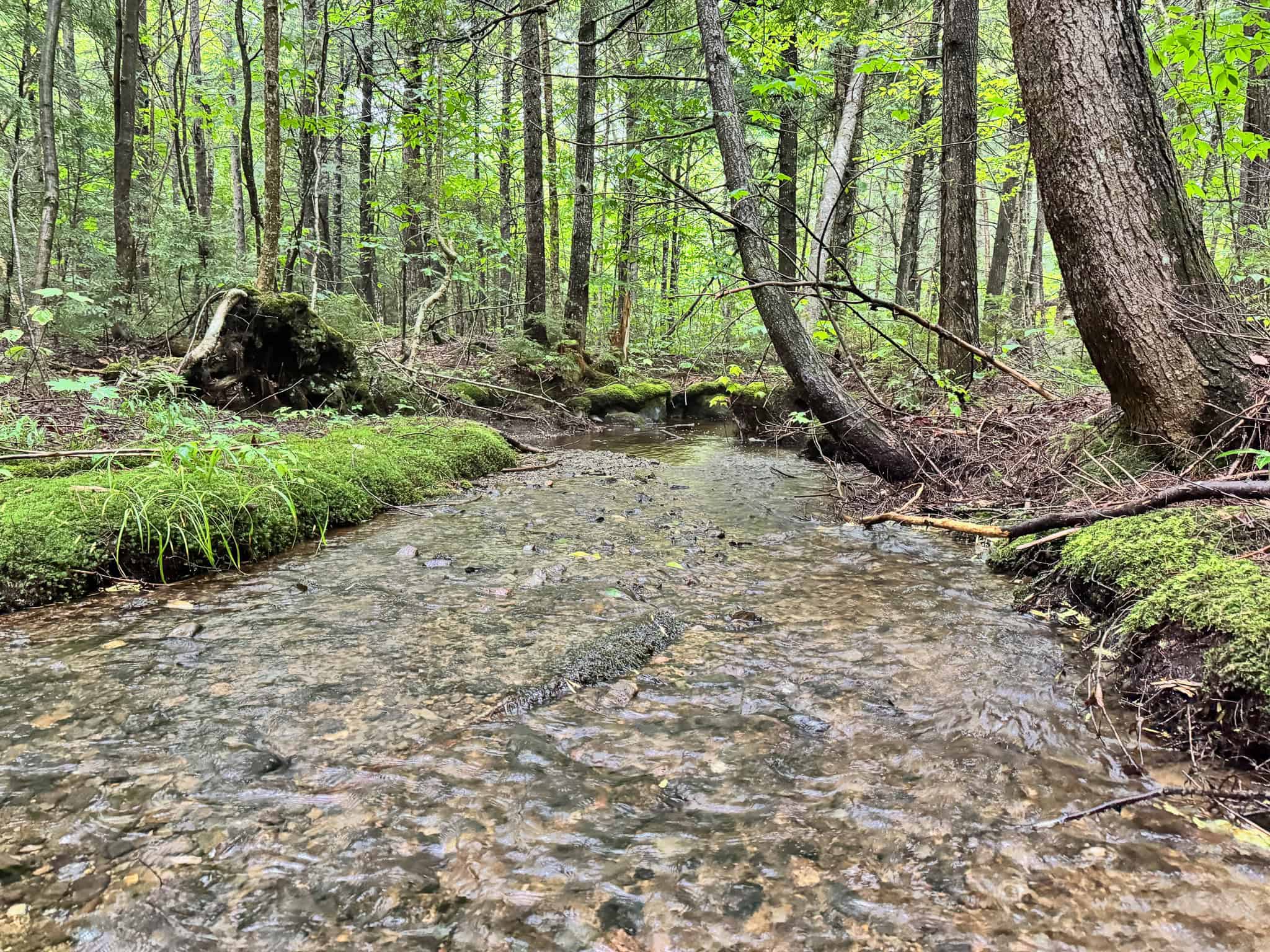 645 Acres, 6 Cabins, Pond, Brooks, and Outdoor Adventures