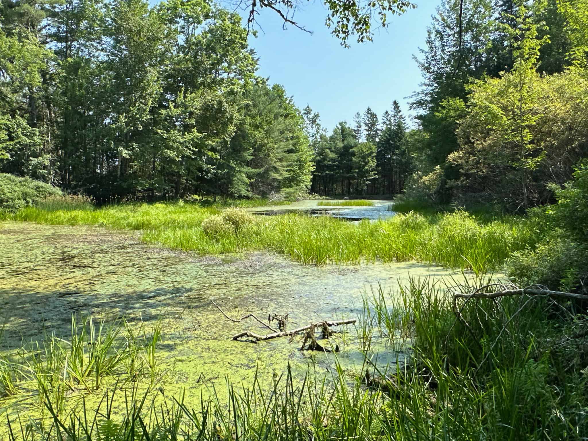 New Englander Home in the Country