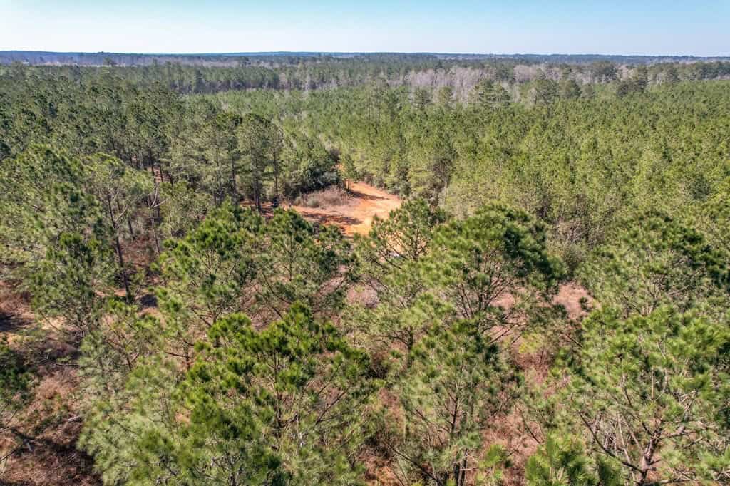 625 Acres Amite County, MS Timberland for Sale