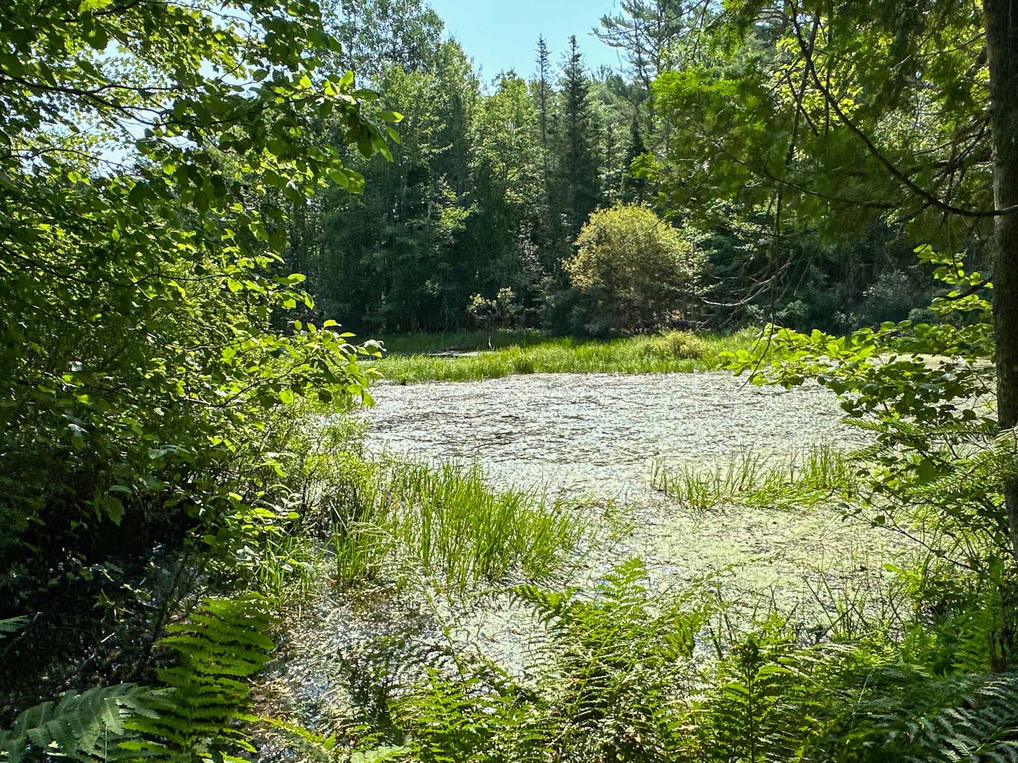 New Englander Home in the Country