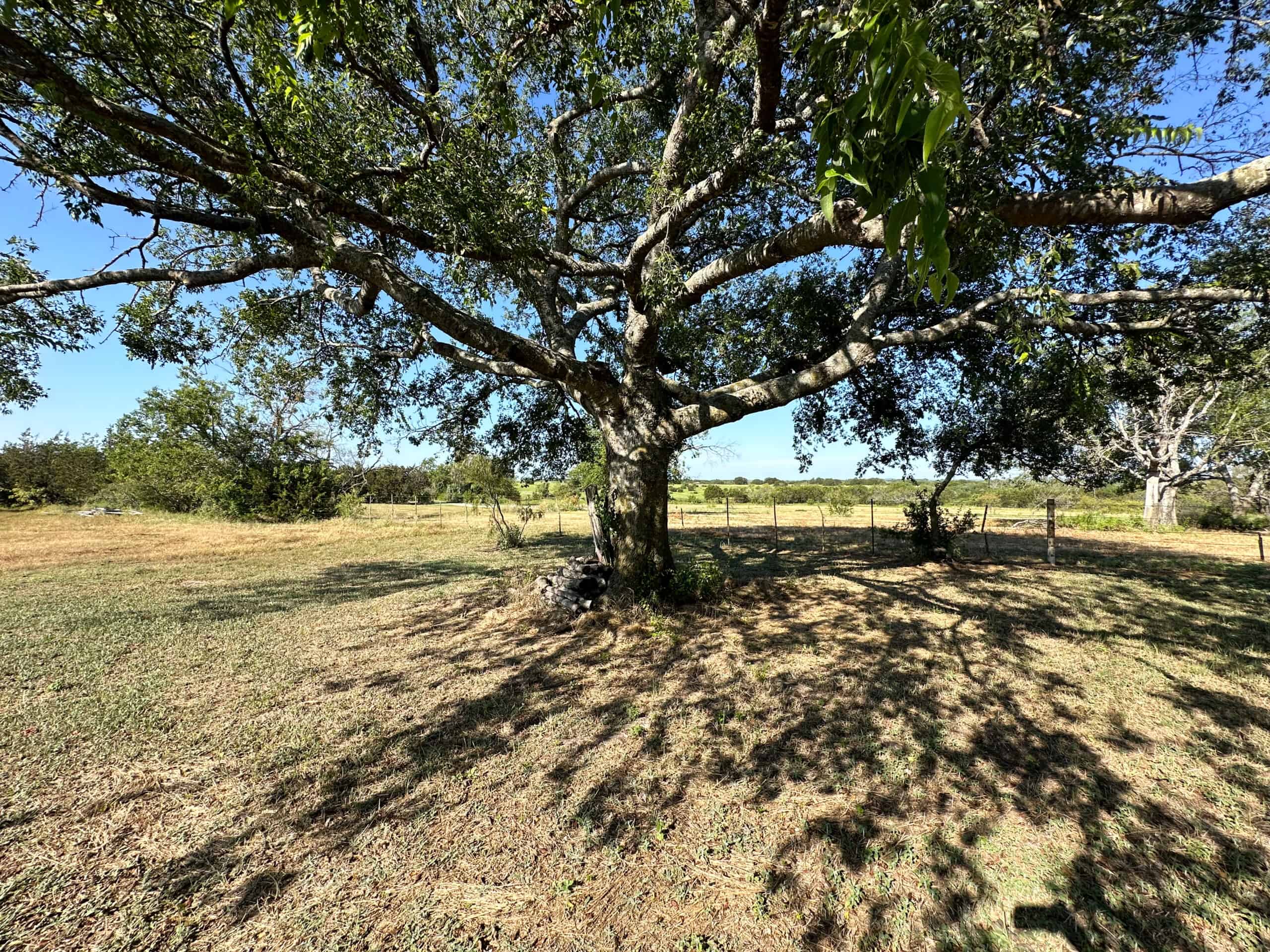Exquisite 39+/- Acre Texas Estate in Coryell County