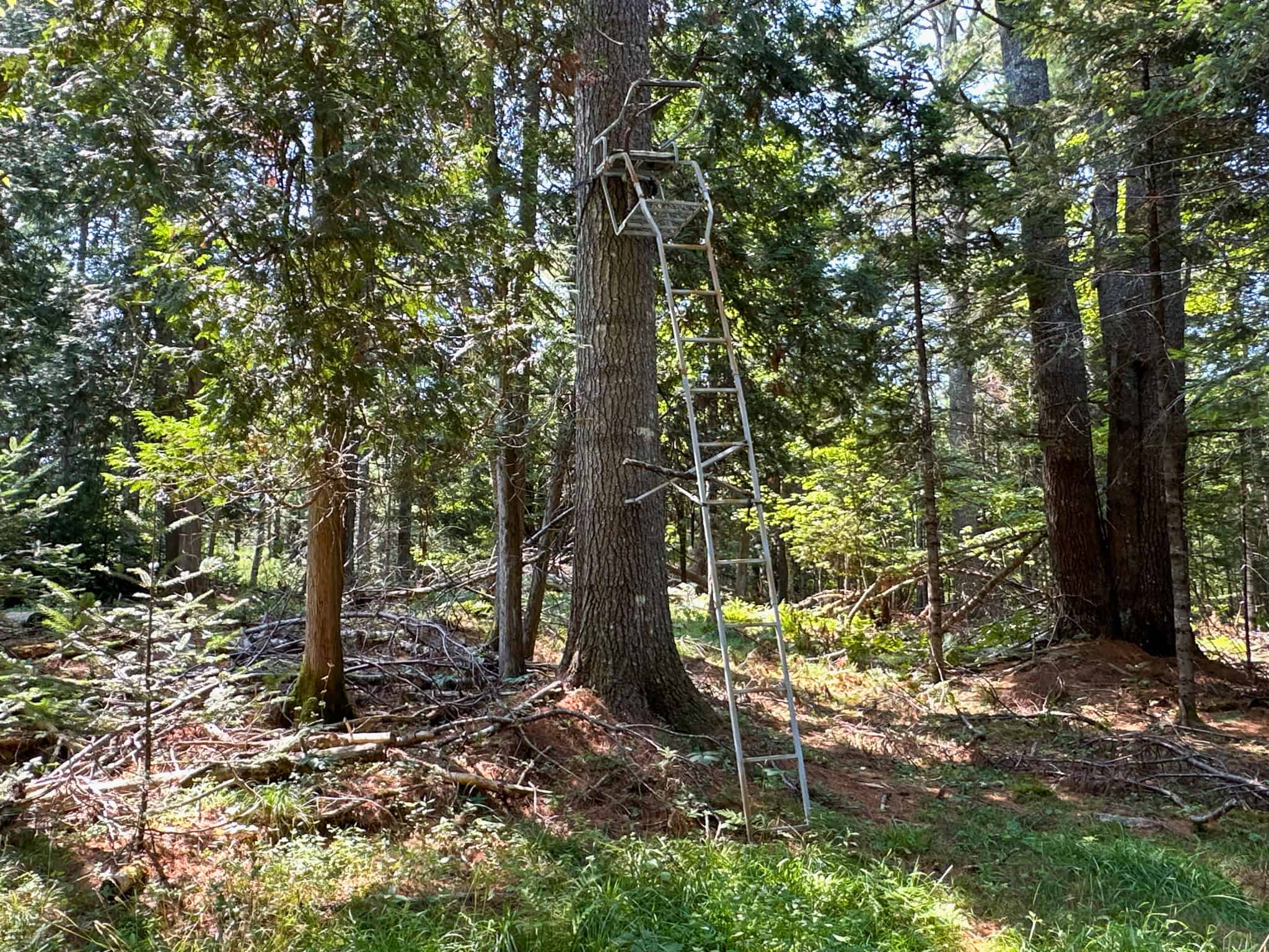 New Englander Home in the Country