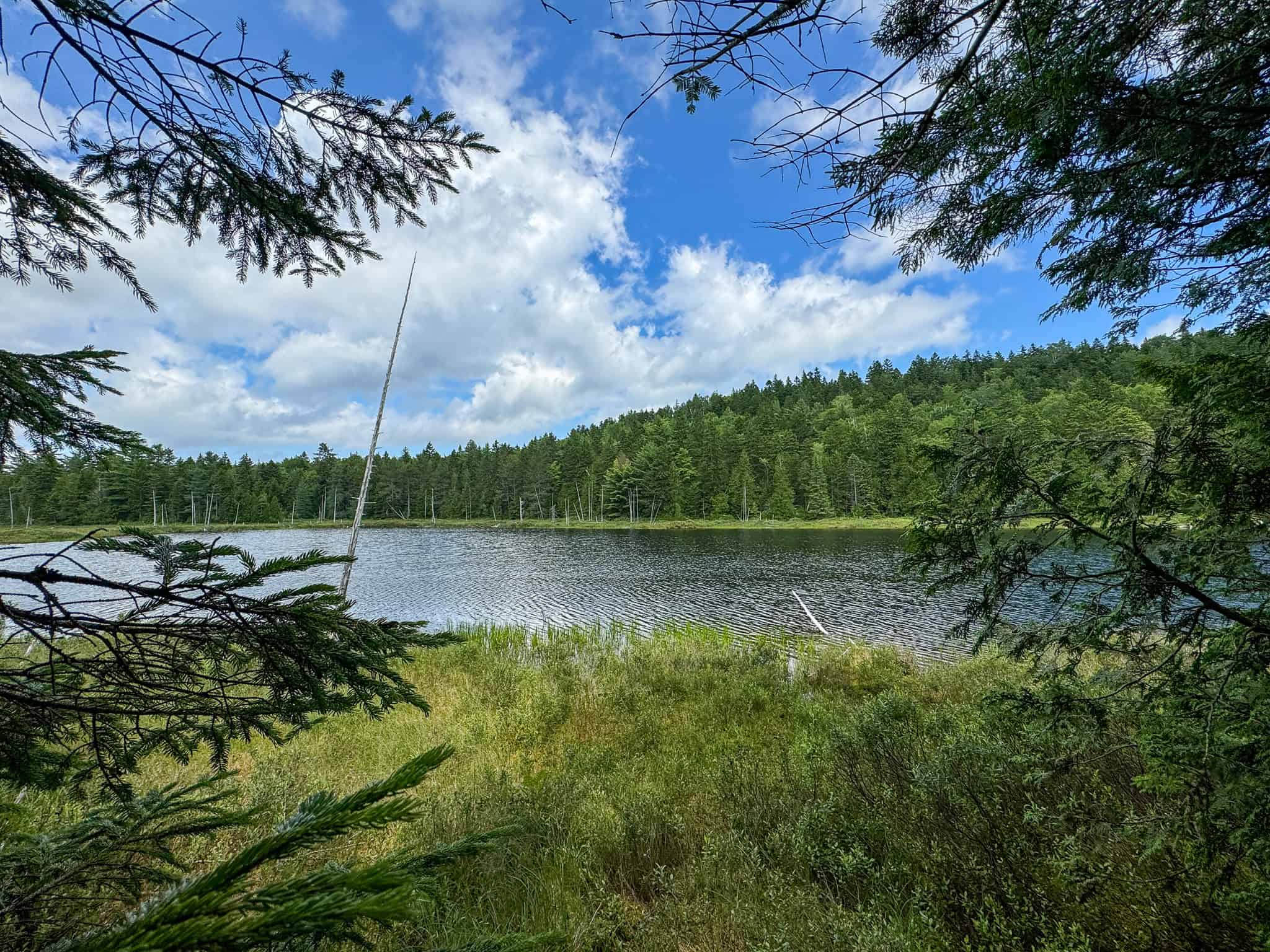 330 Acre Parcel with Waterfront