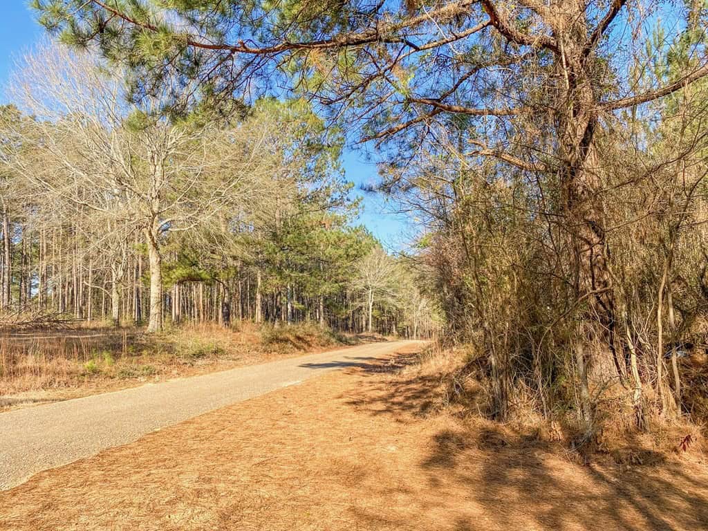625 Acres Amite County, MS Timberland for Sale