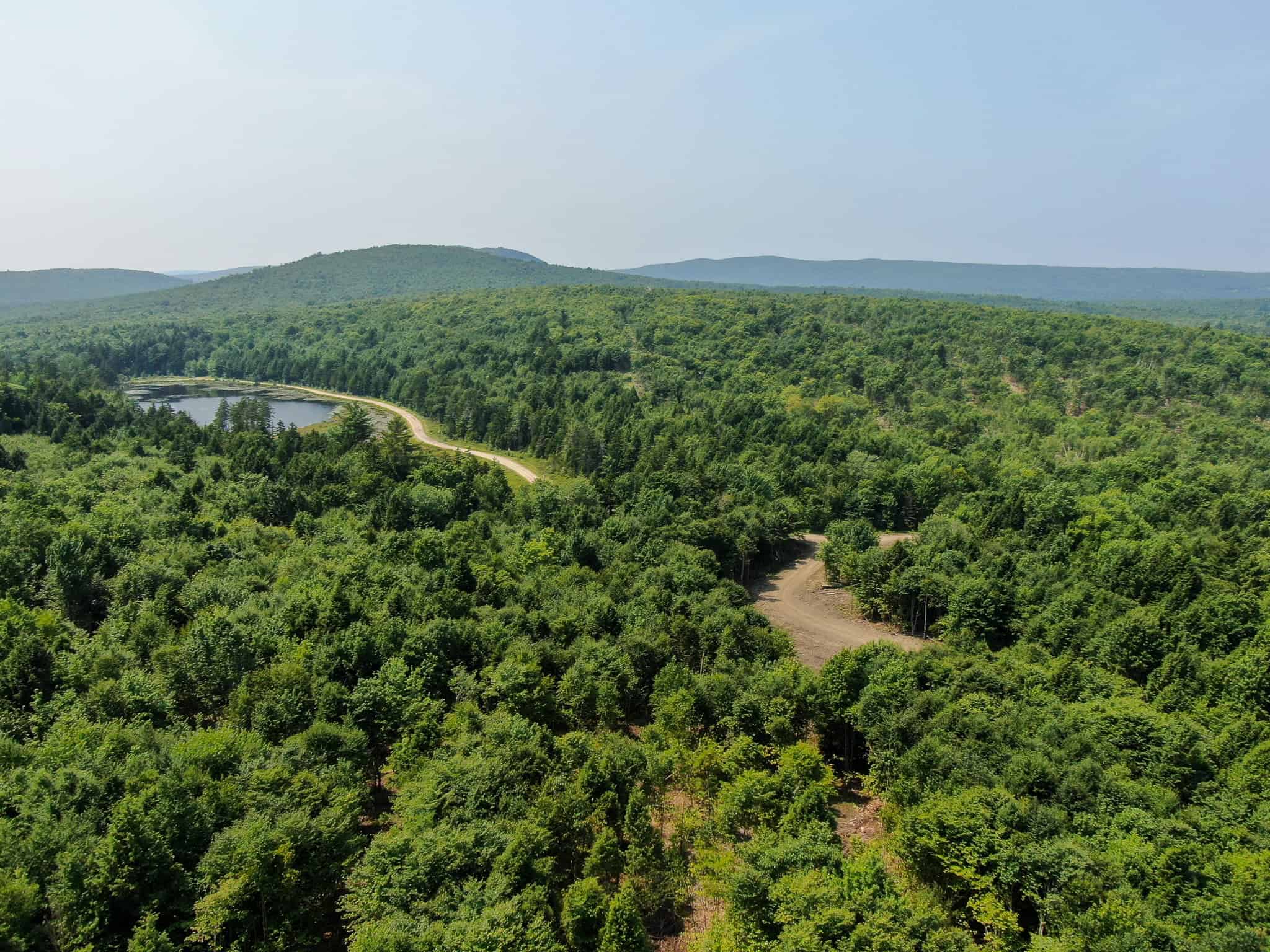 645 Acres, 6 Cabins, Pond, Brooks, and Outdoor Adventures