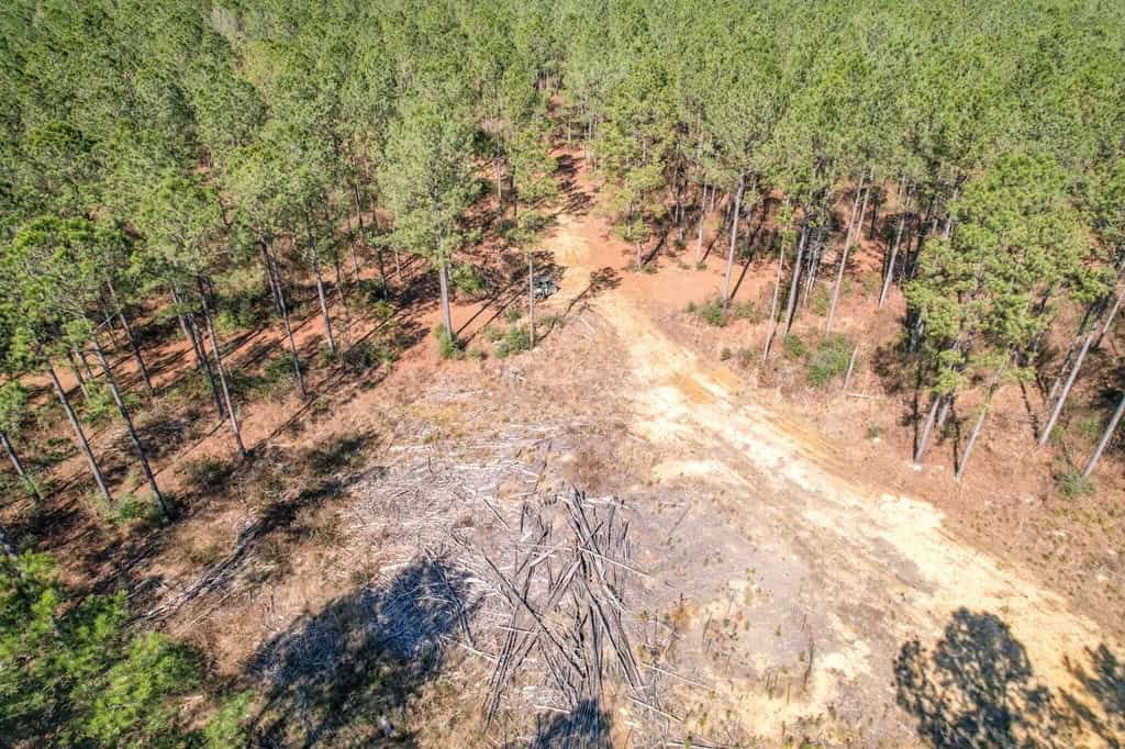 625 Acres Amite County, MS Timberland for Sale