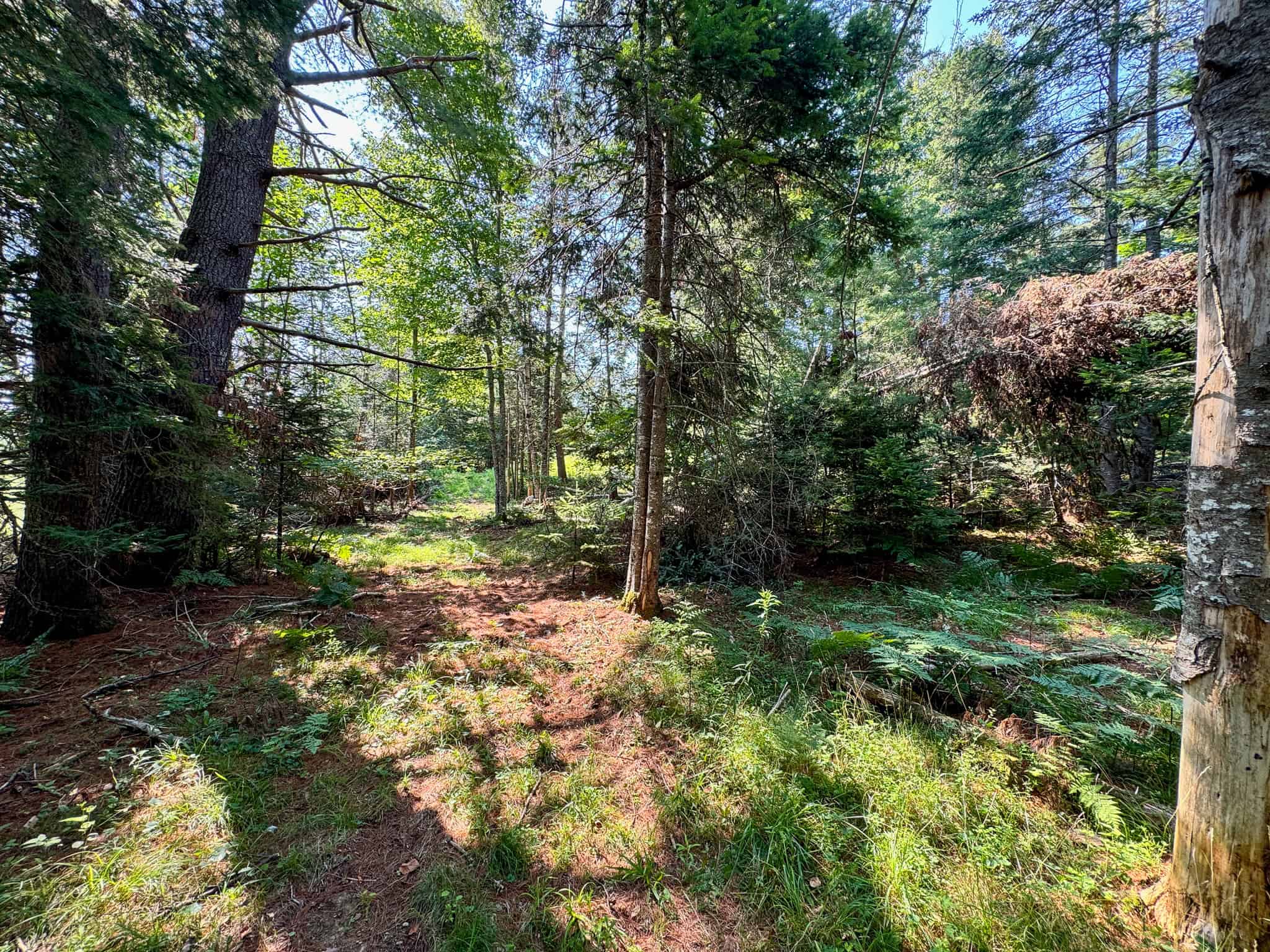 New Englander Home in the Country