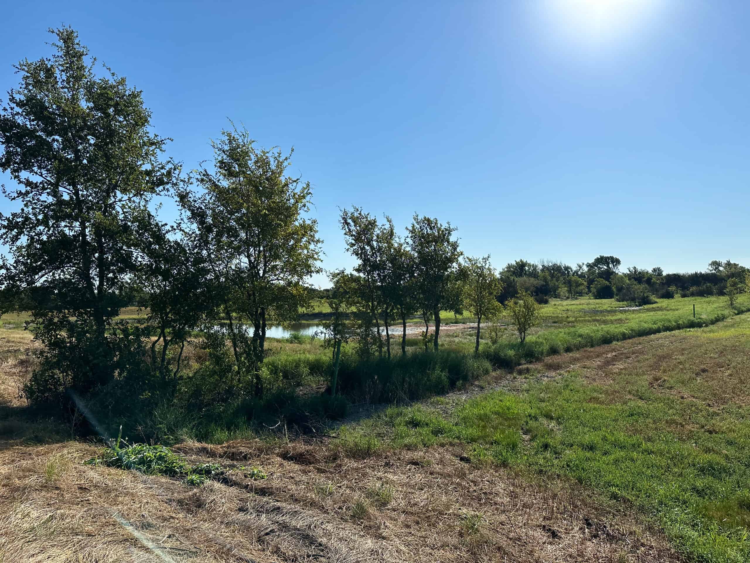 Exquisite 39+/- Acre Texas Estate in Coryell County