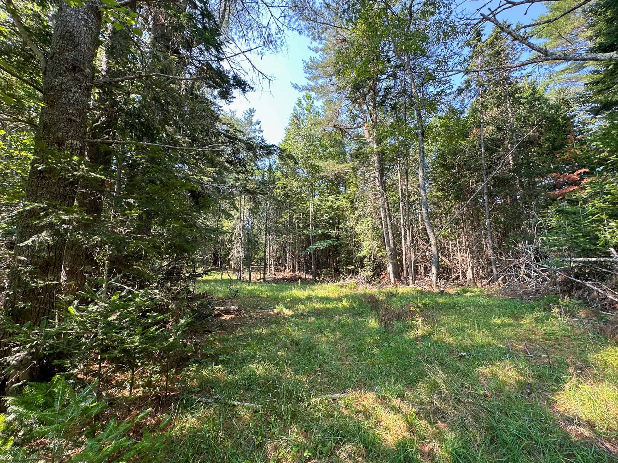 New Englander Home in the Country