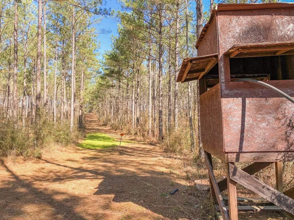 625 Acres Amite County, MS Timberland for Sale