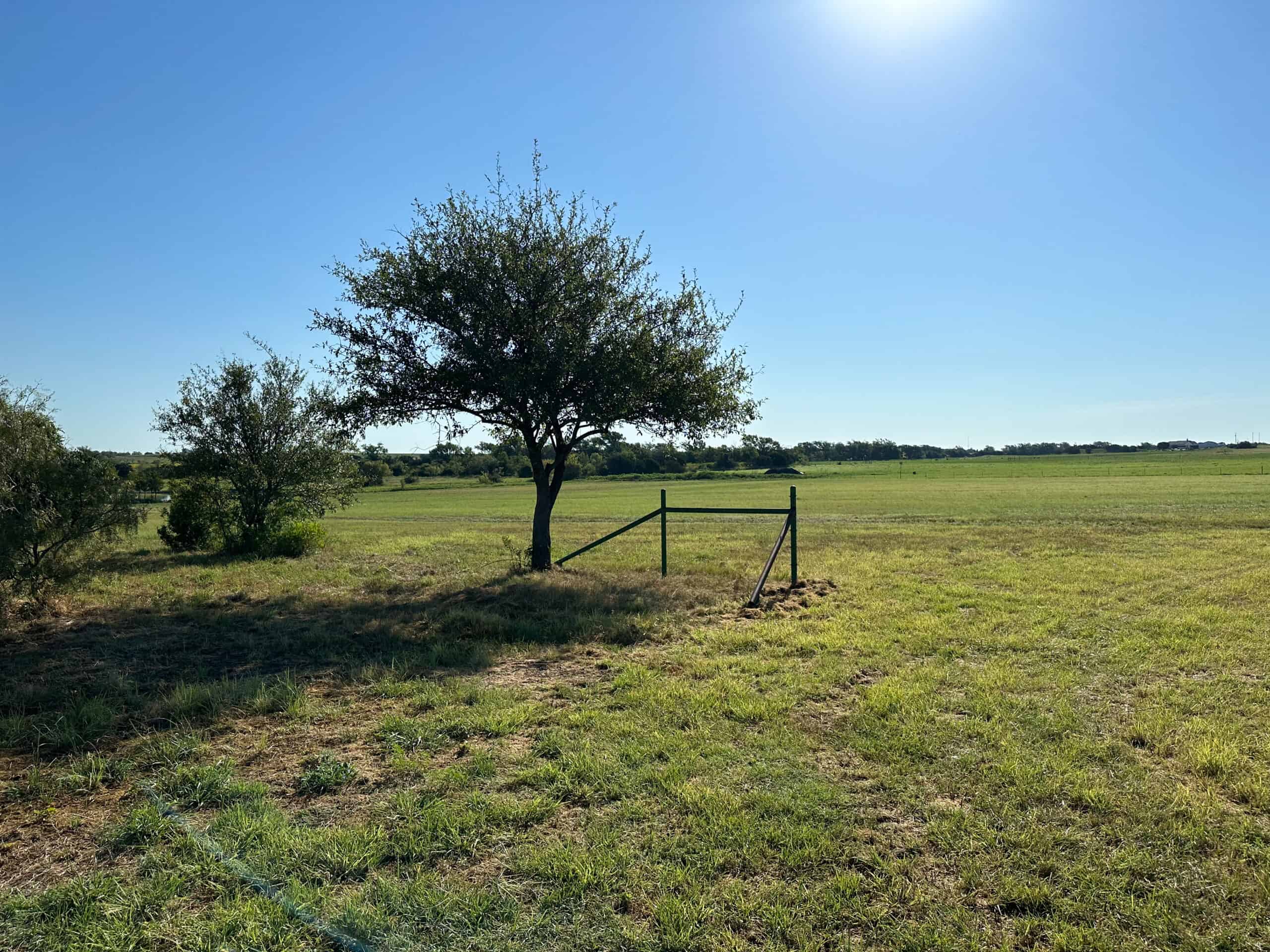 Exquisite 39+/- Acre Texas Estate in Coryell County