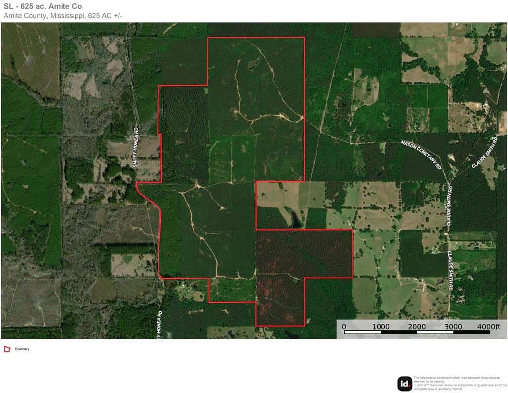 625 Acres Amite County, MS Timberland for Sale