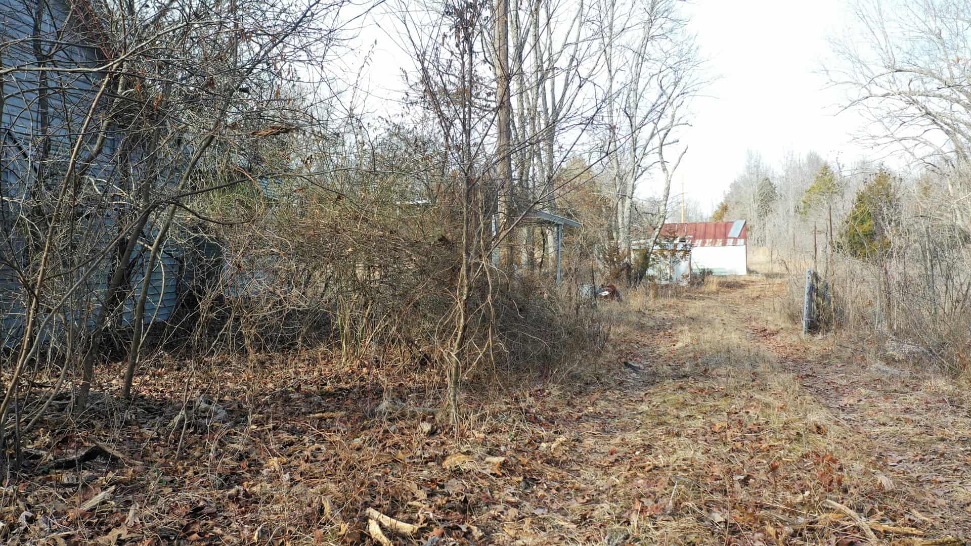 117.7 Acres Nestled on the Dent & Shannon County Line, Missouri