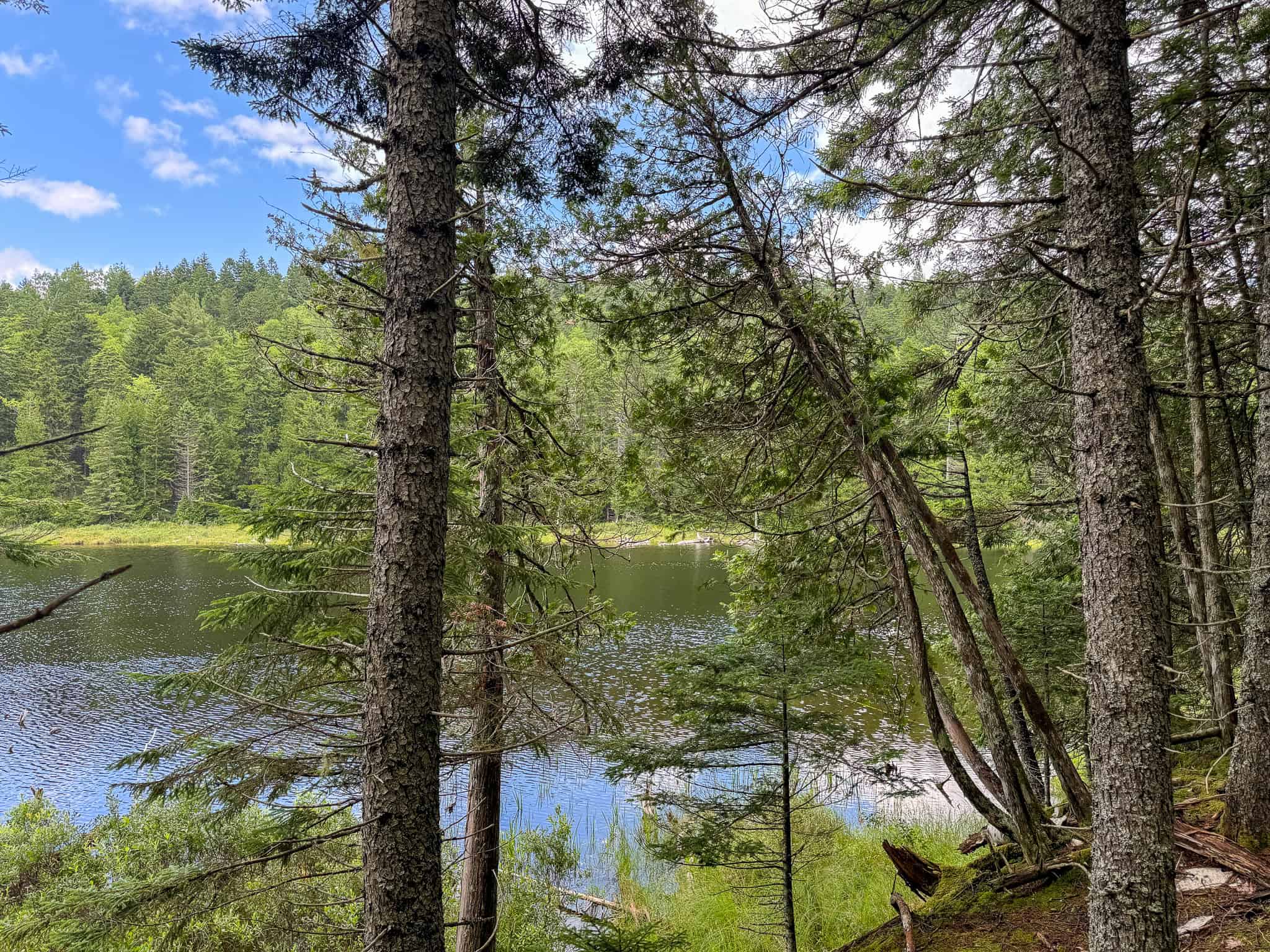 330 Acre Parcel with Waterfront