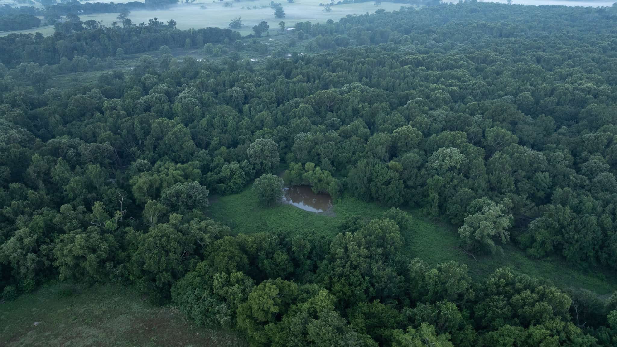SOLD! Texas Duck Hunting Property with Log Home East of Dallas