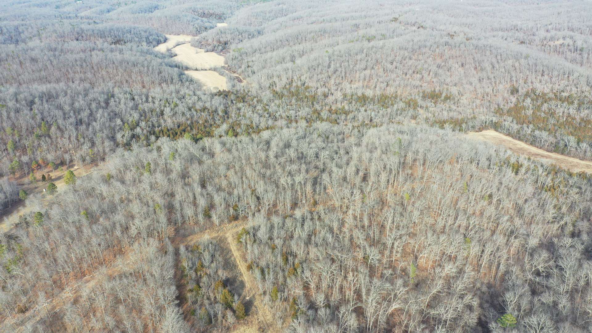 117.7 Acres Nestled on the Dent & Shannon County Line, Missouri