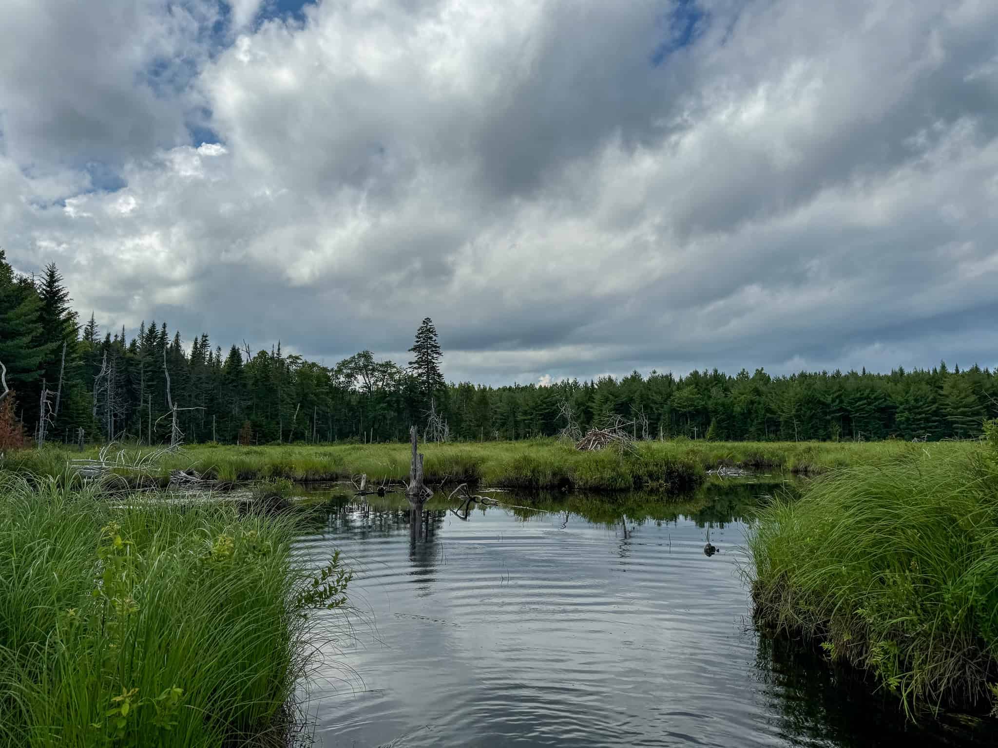 330 Acre Parcel with Waterfront