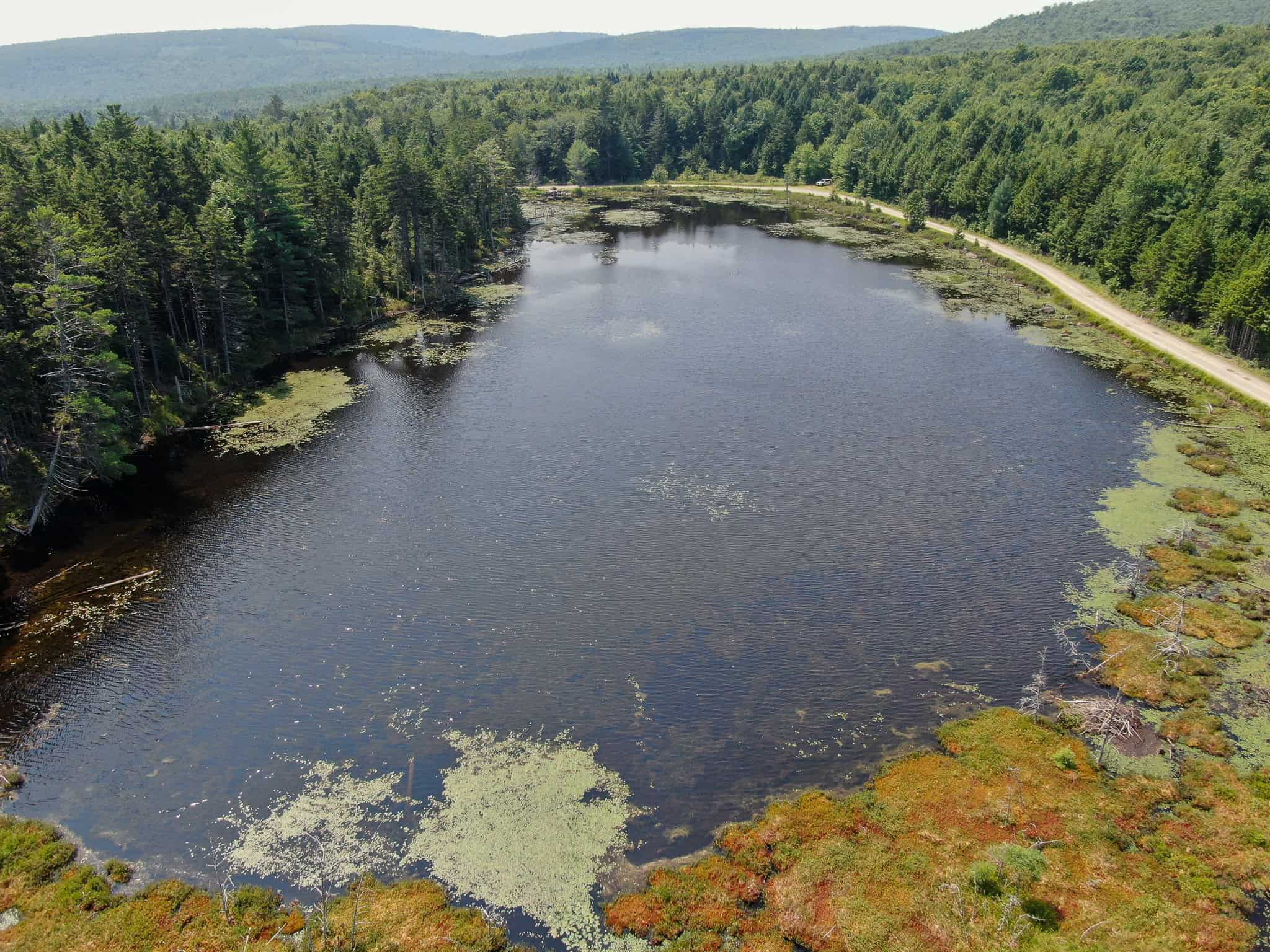 645 Acres, 6 Cabins, Pond, Brooks, and Outdoor Adventures