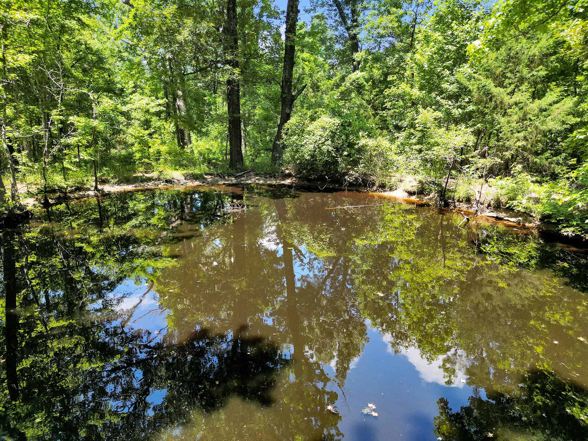 SOLD! Texas Hunting Property East of Dallas Near Lake Fork