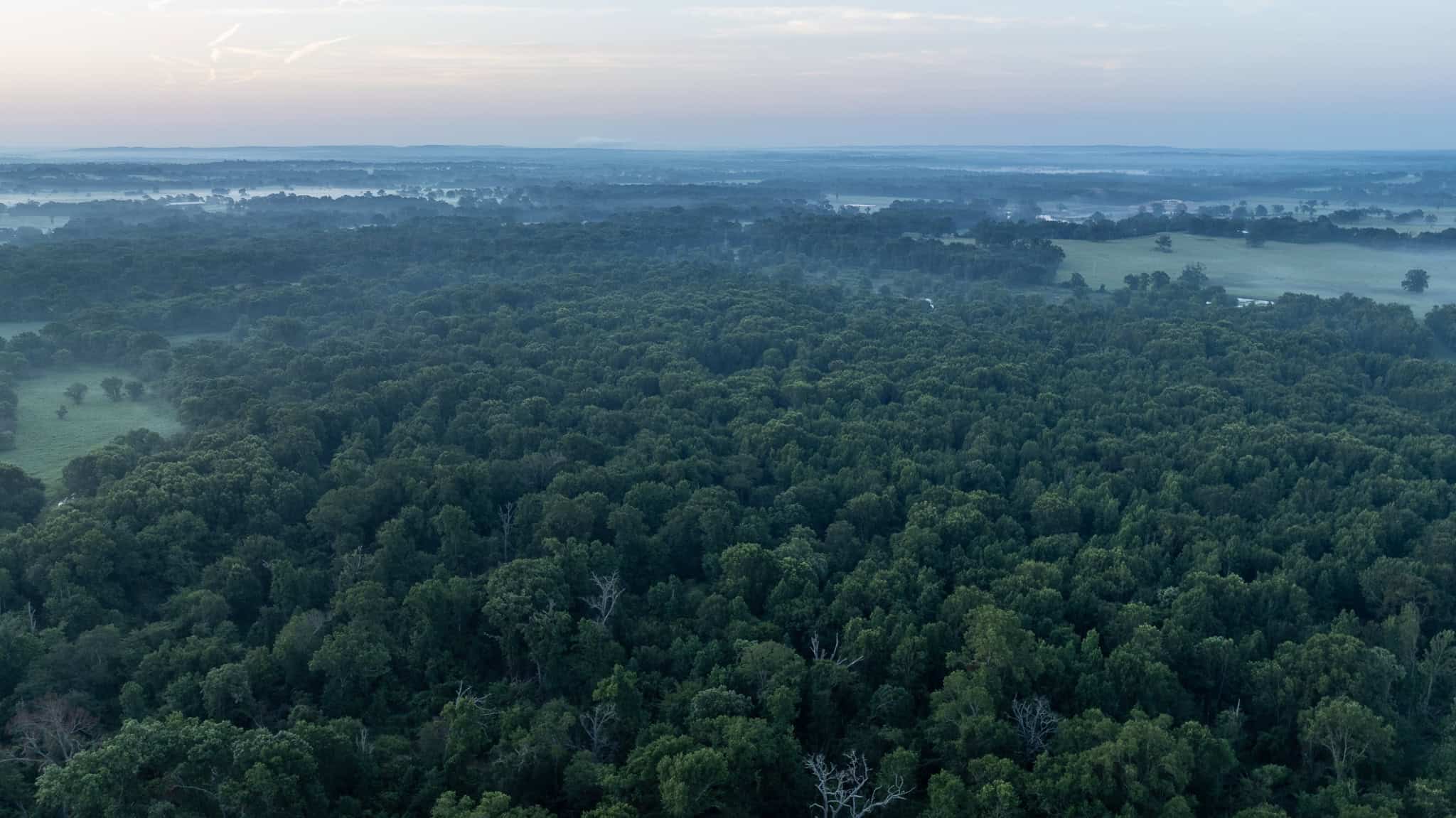 SOLD! Texas Duck Hunting Property with Log Home East of Dallas