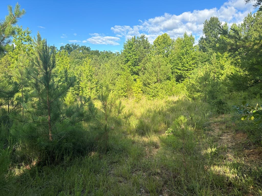 Ultimate Seclusion at The Honey Hole, Lunenburg County, VA