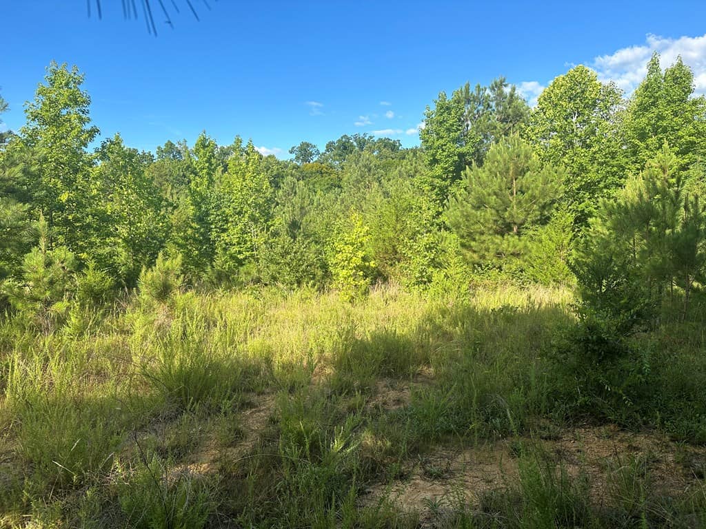Ultimate Seclusion at The Honey Hole, Lunenburg County, VA