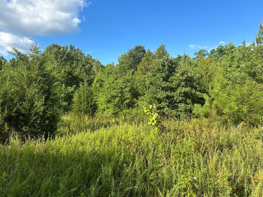 Ultimate Seclusion at The Honey Hole, Lunenburg County, VA