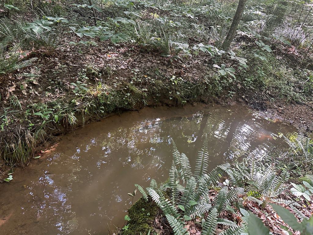 Ultimate Seclusion at The Honey Hole, Lunenburg County, VA