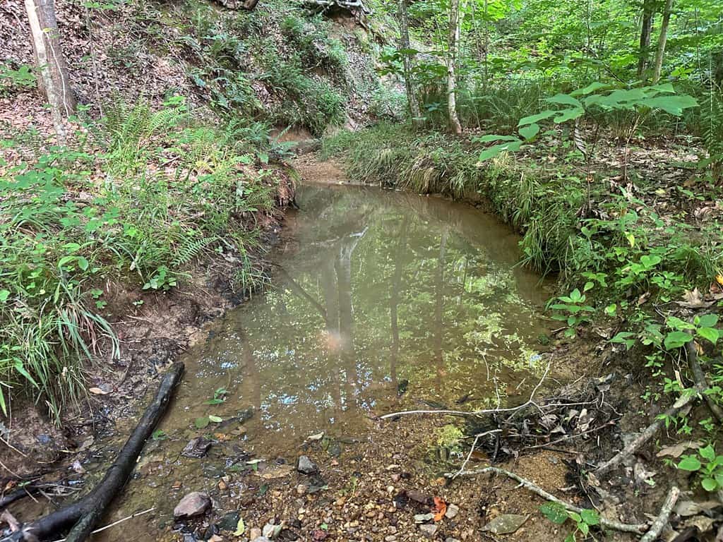 Ultimate Seclusion at The Honey Hole, Lunenburg County, VA