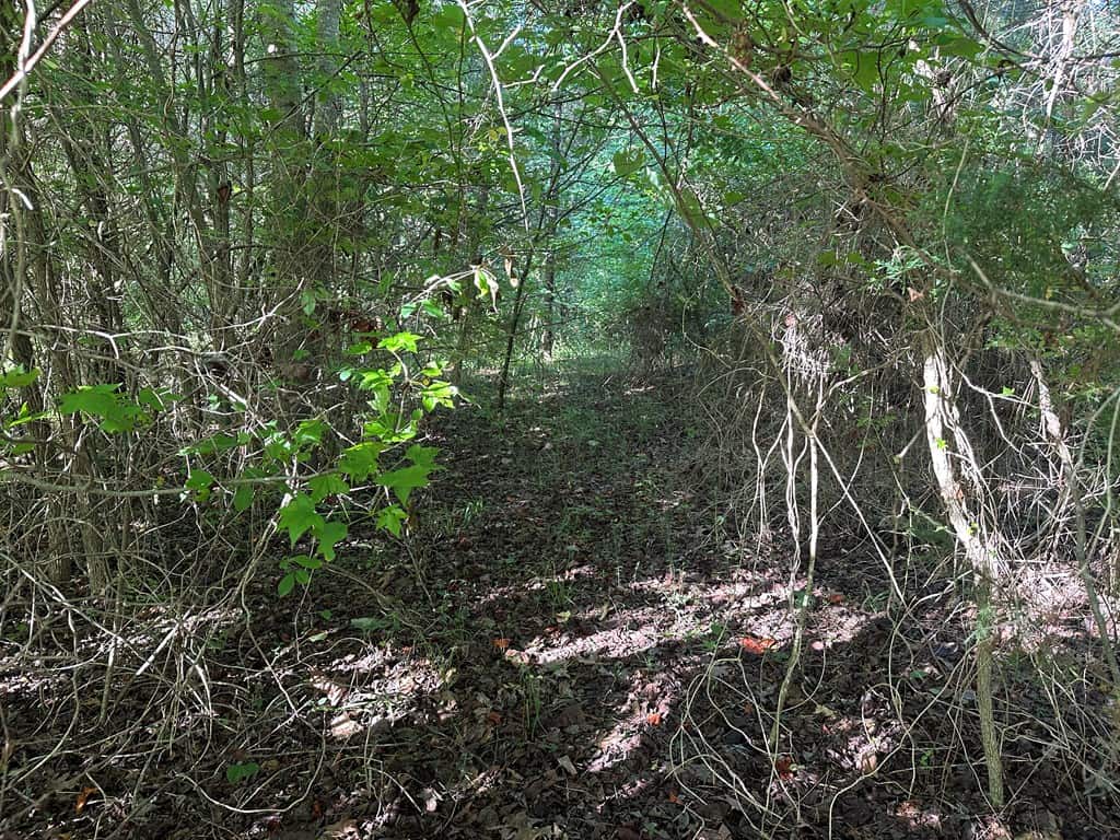 Ultimate Seclusion at The Honey Hole, Lunenburg County, VA